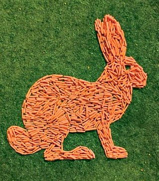 carrot rabbit 4